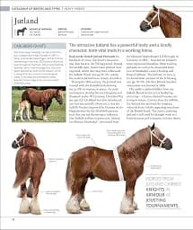 The Horse Encyclopedia (new edition) - мініатюра 3
