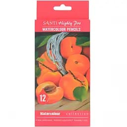 Набор акварельных карандашей Santi Highly Pro 12 шт. (742383)