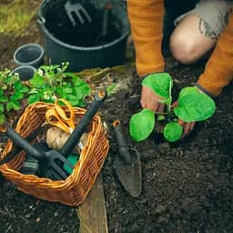 Розрихлювач ручний Fiskars Solid 8,2 см, три зуба, 1001600 (1072102) - мініатюра 3
