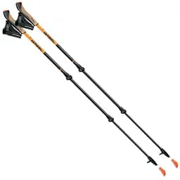 Палки для скандинавской ходьбы Gabel Carbon XT 3S-100 (7009351420000) телескопические