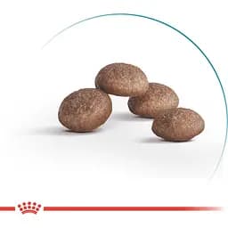 Сухий корм повнораціонний для котів Royal Canin Ageing 11+ віком від 11 років 2 кг - мініатюра 2