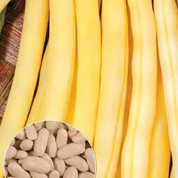 Квасоля спаржева "Золота Сакса" ТМ "Весна"  15г (22316)