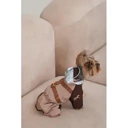 Дощовик Pet Fashion Mustang для собак розмір S - мініатюра 5
