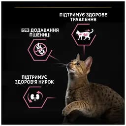 Сухий корм для котів Purina Pro Plan Sterilised Adult 1+ Delicate Digestion для стерилізованих з чутливим травленням зі смаком курки 400 г - мініатюра 5