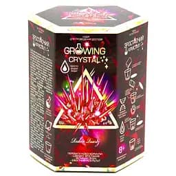 Набір для дослідів Growing Crystal (українською), Danko Toys - мініатюра 7