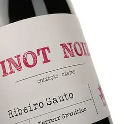 Вино Magnum Ribeiro Santo Pinot Noir DO Dao 2017 червоне сухе 0.75 л - мініатюра 3
