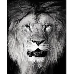 Картина по номерам Big Boss 40х50 см 11611-AC