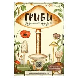 Открытки для раскраски Грибы - Ольга Марс