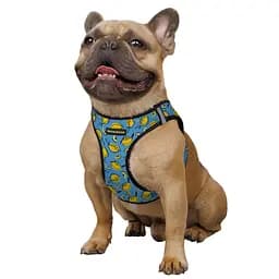 Шлея для собак Bronzedog Sport Vest Лимони M 24х18х3 см блакитна - мініатюра 3
