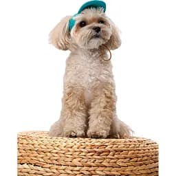 Кепка Pet Fashion Topaz для собак S - мініатюра 5