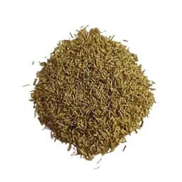 Піжма насіння відтворюване з Франції SemiWild 600 штук в упаковці