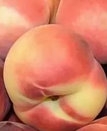 Саджанець Agro-Market Нектарин Фентезі (лисий персик, осінній сорт, пізній термін дозрівання) (21367) 1 шт. в упаковці