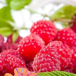 Саджанець Agro-Market Agrobox з саджанцем малинового дерева одного з найулюбленіших сортів 1 шт. в пакуванні (48059)