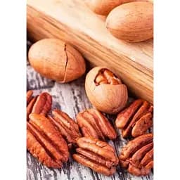 Саджанець Agro-Market Горіх Пекан Kanza (ранній термін дозрівання) 1 шт. в упаковці (178766)