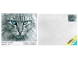 Набор для росписи по номерам Взгляд котика, Strateg, 40x50 см, DY082