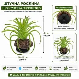 Штучна рослина Hobby Terra Succulent 5 8 см (37734) для тераріуму, акватераріуму та палюдаріуму - мініатюра 2
