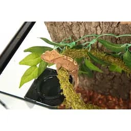 Ліана гнучка з натуральним мохом для тераріуму Repti-Zoo Artificial Moss Vine 2см x 2м (RV0220) - мініатюра 6