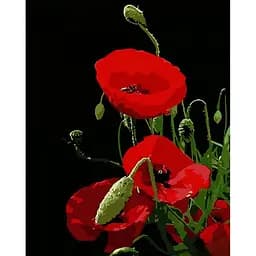 Набір для розпису по номерах Червоний мак, Strateg, на чорному фоні, 40x50 см, AH1024