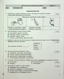 Українська мова. 5 клас. Контроль результатів навчання - мініатюра 4