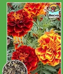Насіння Весна Чорнобривці Карликова суміш 0.3 г (51050)