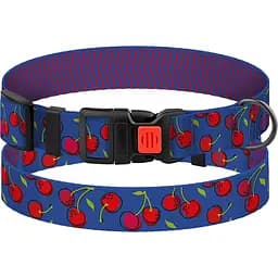 Нашийник для собак BronzeDog Urban Fruits XL