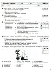 Біологія. 6 клас. Тестовий контроль результатів навчання - мініатюра 3