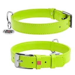 Ошейник для собак кожаный Waudog Glamour с QR-паспортом без украшений L Ш 25 мм Д 38-49 см салатовый