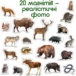 Набір магнітів Magdum Лісові мешканці ML4031-29 EN - мініатюра 4