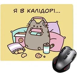 Ігрова поверхня Nextprint Пушин "У коридорі" - Pusheen 300 х 250 мм (18201) 