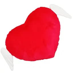 Подушка декоративна Серце янгола WP Merchandise FWPANGELHEART25RD 30 см