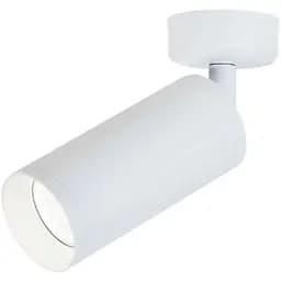 Спот Friendlylight Focus L FL2099