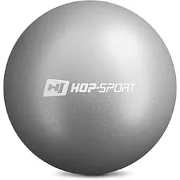 Фитбол Hop-Sport 25см серебристый