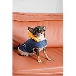 Шлея-жилет Pet Fashion Poppy для собак розмір XS - мініатюра 5