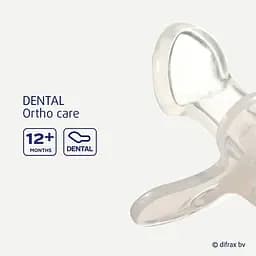 Пустушка силіконова Difrax нічна Dental Night 12+ міс. (GL346) - мініатюра 3
