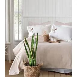 Літня постільна білизна Palm Bej з покривалом 220*240 см Moss Home pbe0051398