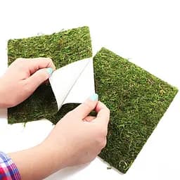 Фон з натурального моху Repti-Zoo Natural Moss Back & Bottom 20x20см 2 шт (NCM2020) для тераріуму - мініатюра 7
