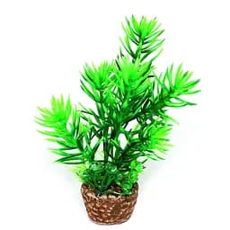 Штучна рослина Hobby Flora Stone 1 13 см (51530)