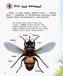 Енциклопедія дошкільника: Комахи - мініатюра 2