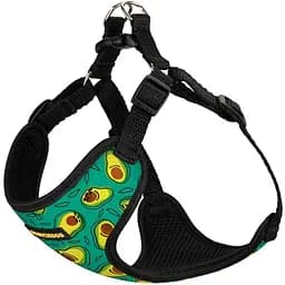 Шлея для собак Bronzedog Sport Авокадо S 16х14х2 см зеленая