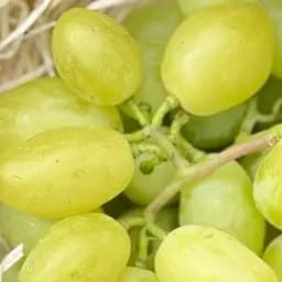 Саджанець Agro-Market Виноград Буба (надвеликий виноград із солодкою, хрусткою ягодою) 1 шт. в пакуванні (101880)