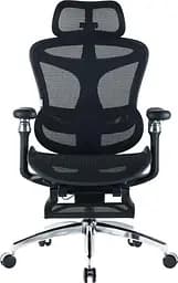 Офісне крісло Sihoo DORO C300 Pro Mesh Black with footrest (DORO-C300-PRO-M101-JT)