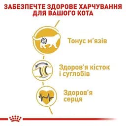 Сухий корм для британських короткошерстих дорослих котів Royal Canin British Shorthair Adult з м'ясом птиці 3.2 кг + 800 г - мініатюра 5