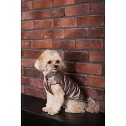Жилет Pet Fashion Hardy для собак розмір S2 - мініатюра 8