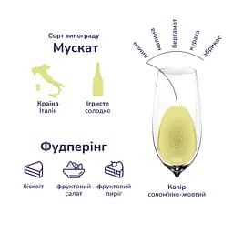 Упаковка ігристого вина Martini Asti DOCG біле солодке 9 л (0.75 л х 12 шт.) - мініатюра 3