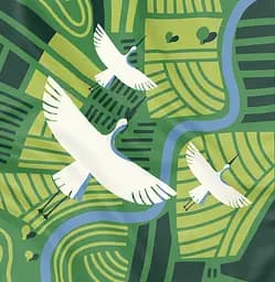 Хустка Orner "Українські поля"