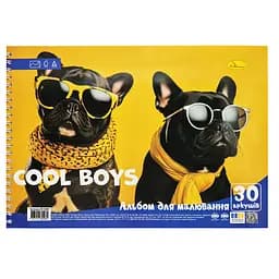 Альбом для малювання "Cool boys" Апельсин АП-0309-5, 30 аркушів, пружина