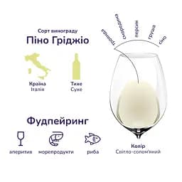 Упаковка вина Gerardo Cesari Pinot Grigio delle Venezie біле сухе 4.5 л (0.75 л x 6 шт.) - мініатюра 3