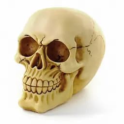 Череп Йорик под кость