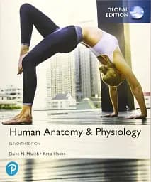 Human Anatomy & Physiology Global Edition