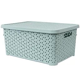 Кошик Diomedea з кришкою 34.5x24.5x15.5 см 10 л світло-фісташковий (К13-374) 